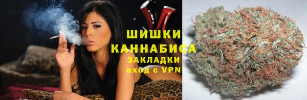 СК Вуктыл