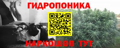 ПСИЛОЦИБИНОВЫЕ ГРИБЫ Апшеронск