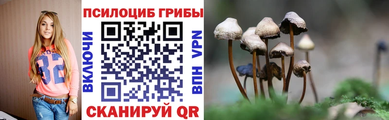 наркотики  Волоколамск  ссылка на мегу ССЫЛКА  Галлюциногенные грибы мухоморы 